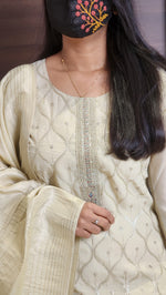 Ethnic Salwar Set(10602)