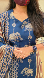 Salwar set(13678)