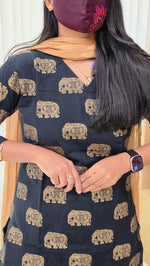 Ethnic wear (12061)