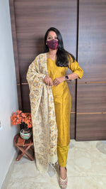 Salwar set (11489)