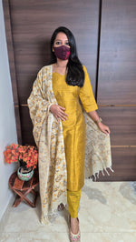 Salwar set (11489)