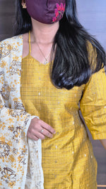 Salwar set (11489)